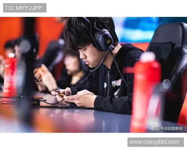 王者荣耀LNG战队比赛经验深度解析与战术分享